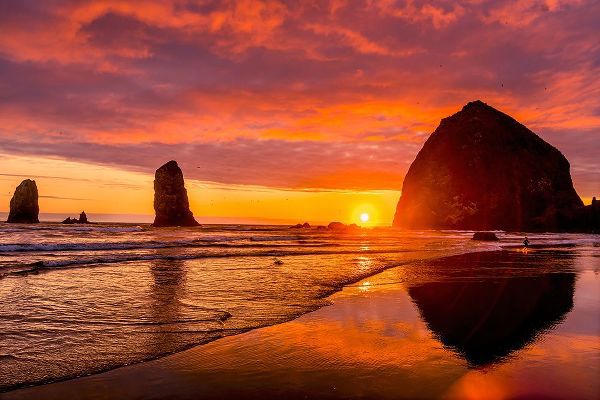 Perry, William 아티스트의 Colorful sunset-birds-Haystack Rock sea stacks-Canon Beach-Clatsop County-Oregon-Originally discove작품입니다.